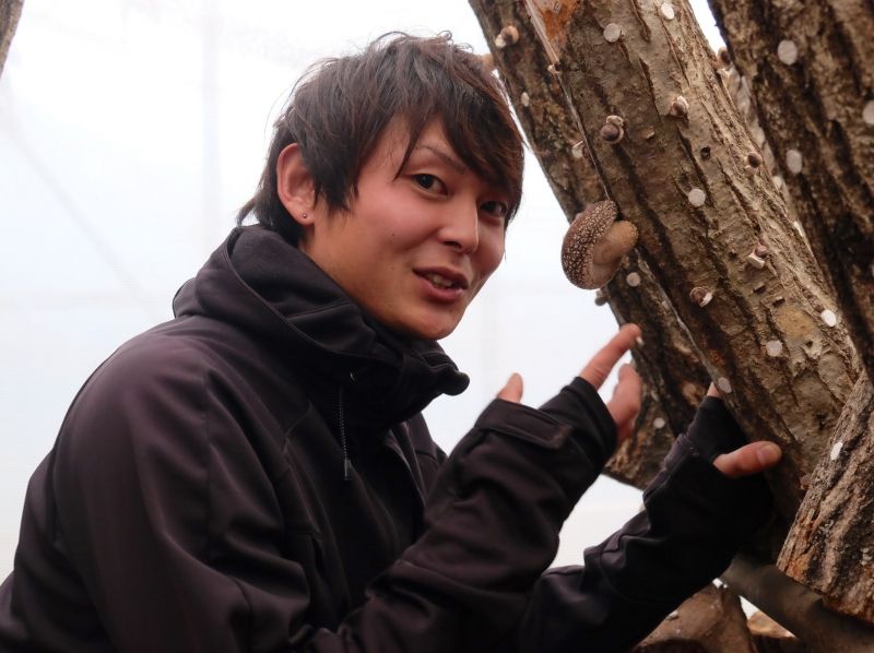 【岩手・大槌】団体さま大歓迎! 原木栽培のおいしいシイタケを収穫しよう!の紹介画像