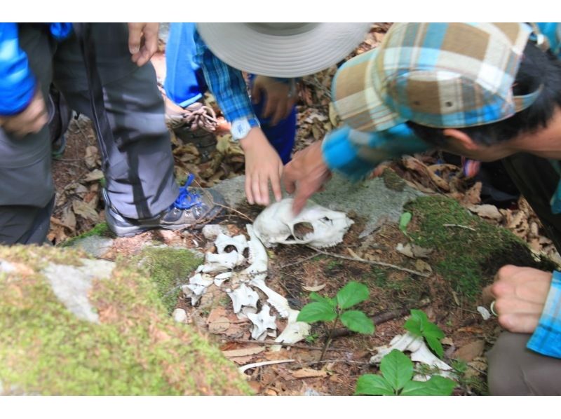 【長野・蓼科】山の中に暮らす動物たちの痕跡をたどる〔アニマルトラッキング〕