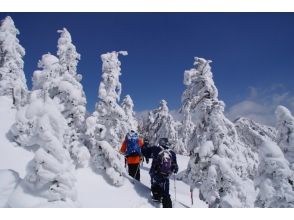 【長野・蓼科】自然を満喫！魅力がいっぱい！「スノーシューネイチャーガイドツアー」