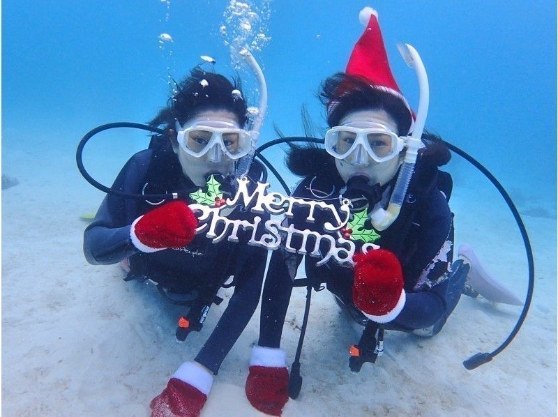【沖縄・石垣島】半日体験ダイビング｜水中写真プレゼント！