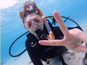 [Okinawa Ishigaki island]half-day experience Diving|underwater photo gift!
