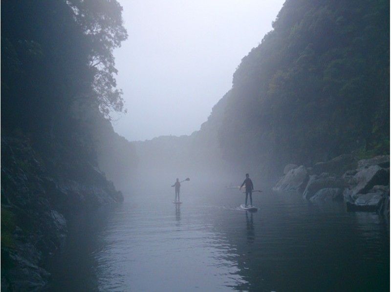 【鹿児島・屋久島】世界遺産のロケーションをSUP（サップ）ツアー（1日コース）