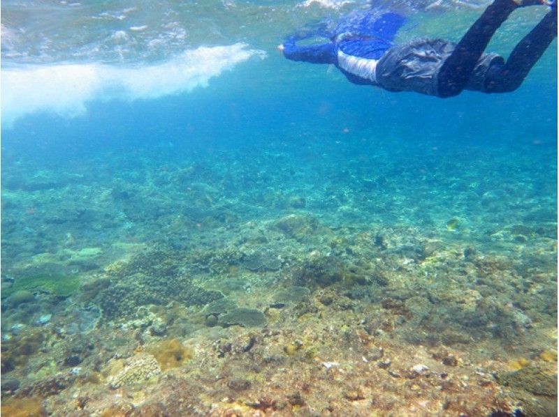 【鹿児島・屋久島】世界遺産の大自然をシュノーケルツアー（半日コース）