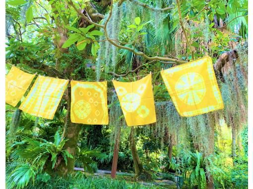 [Kagoshima, Kagoshima City] Plant-dyed handkerchief experience (with admission ticket)の画像