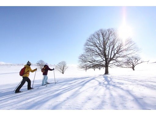 【토우호쿠(동북)· 하치만 타이】크로스컨트리 스키(1day 투어) 특제 런치 대해서! 초등학생부터 OK * 자연을 만끽の画像