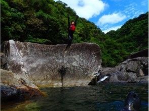 【鹿児島・屋久島】体験しないなんてもったいない!沢登りツアー(1日コース)の画像