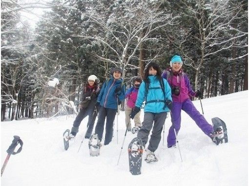 [富山/立山]雪上徒步野餐（立山區域山腳）享受森林治療基地的冬天。の画像