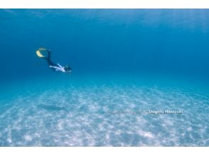 【屋久島 シュノーケリング】手軽に参加できる半日コース！綺麗な海でのんびり海の中を覗いてみよう！