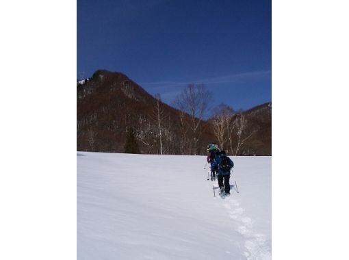高级课程ⅠNori Toge游览雪上徒步行走の画像