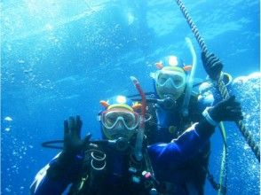 【静岡・下田】初心者歓迎！PADI5スターが誇る安心・安全の体験ダイビングの画像