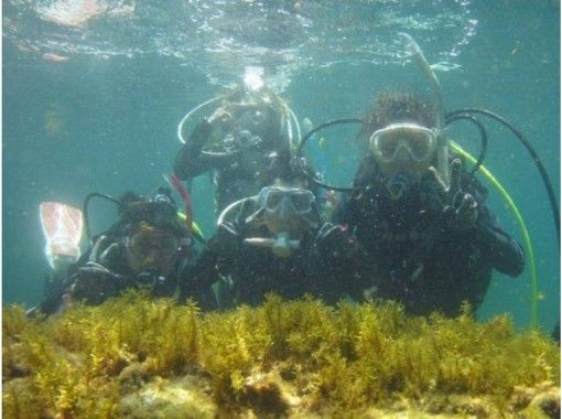 【福井・越前】越前ブルーの美しい海で体験ダイビングをしよう！たっぷり2ダイブプラン♪の画像