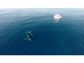 【沖繩本部港出發】賞鯨半日套餐（含美麗海水族門票）★乘船人數沖繩北部No.1餐廳★の画像