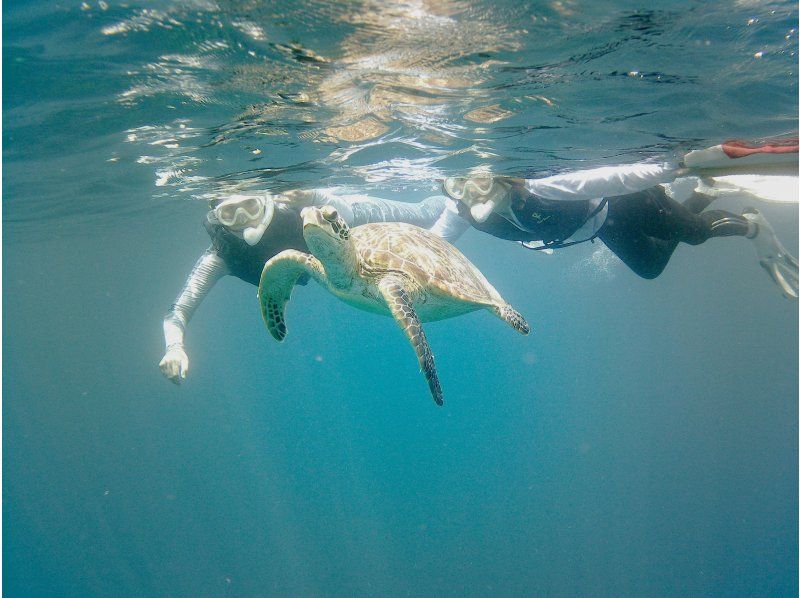 [Okinawa, Ishigaki Island] Blue Cave and sea turtle snorkeling! A casual 1.5 hour course! [Same day reservations welcome]の紹介画像