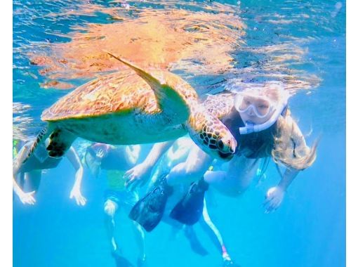 [Okinawa, Ishigaki Island] Same-day reservations & beginners welcome ♪ Blue cave and sea turtle snorkeling! A casual 1.5 hour course! High chance of encountering sea turtles and Nemo ◎ Free photos + equipment!の画像
