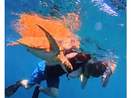 [Okinawa, Ishigaki Island] Same-day reservations & beginners welcome ♪ Blue cave and sea turtle snorkeling! A casual 1.5 hour course! High chance of encountering sea turtles and Nemo ◎ Free photos + equipment!の画像