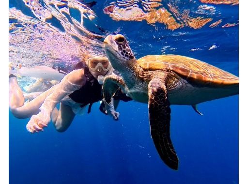 [Okinawa, Ishigaki Island] Same-day reservations & beginners welcome ♪ Blue cave and sea turtle snorkeling! A casual 1.5 hour course! High chance of encountering sea turtles and Nemo ◎ Free photos + equipment!の画像