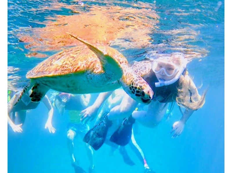 【沖縄・石垣島】当日予約＆初心者大歓迎♪青の洞窟とウミガメシュノーケリング！１時間半のお気軽コース！高遭遇ウミガメやニモも◎写真＋器材無料！の紹介画像