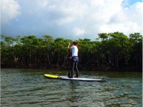 【沖縄・石垣島】マングローブや動植物が生息する豊かな自然を散歩しよう！SUPクルージング体験！
