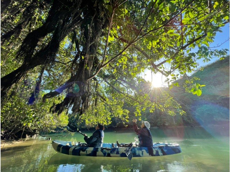 SALE! Okinawa/Kadena Mangrove Kayaking for ages 2 and up♪ {Reservations available on the day, free photo data, free smartphone case rental, hot showers available}の紹介画像