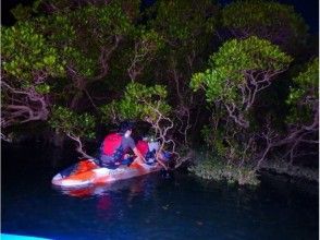 当日予約OK！【沖縄/嘉手納】4月～11月ごろはホタルに会えるかも？　ナイトカヤックツアー！