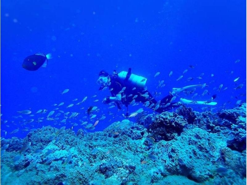 【沖縄/沖縄市（コザ）・北谷・宜野湾】短時間で挑戦できる！　大サンゴ礁ビーチで体験ダイビング