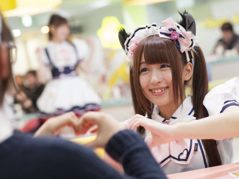 【東京・新宿】アルタ裏の夢の国!気軽なメイドカフェ体験〔お食事付き豪華2時間プラン〕