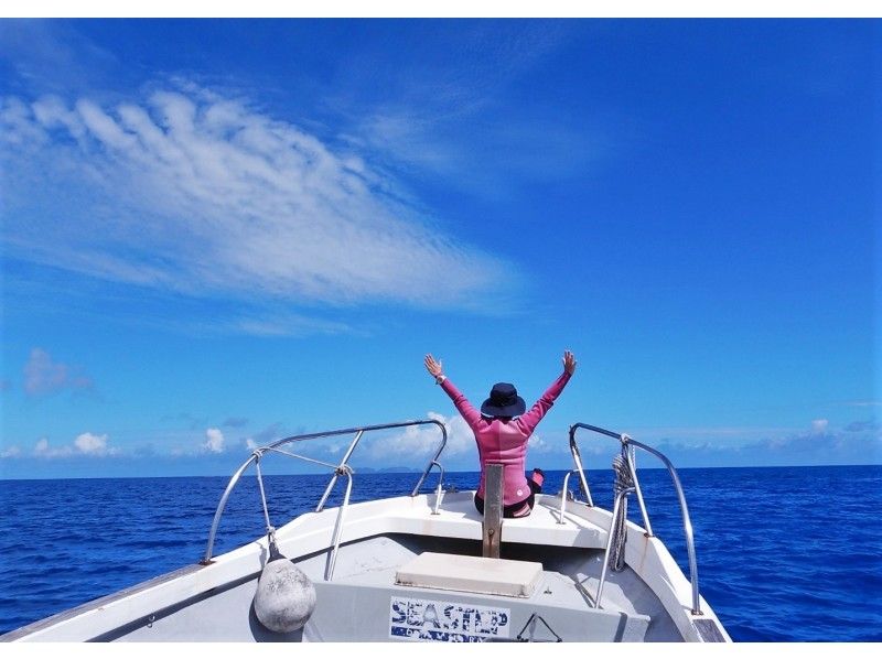 シーステップダイバーズの割引プラン