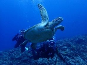 【沖縄中部・北谷発】ボートで向かう慶良間ＦＵＮダイブ２ダイブ