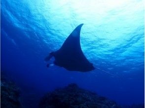 石垣島トータルマリンの割引プラン