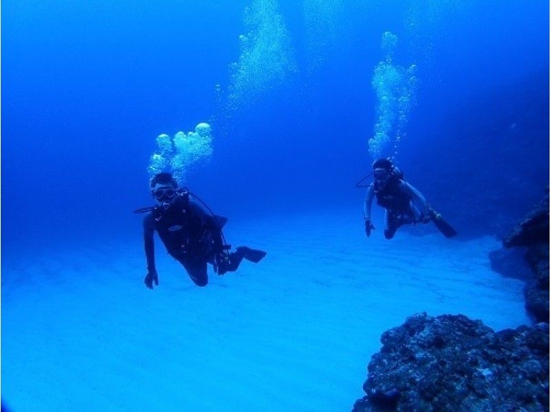 [Okinawa ・ Ishigaki island] To real divers! Scuba Diver Course (3 days)の紹介画像