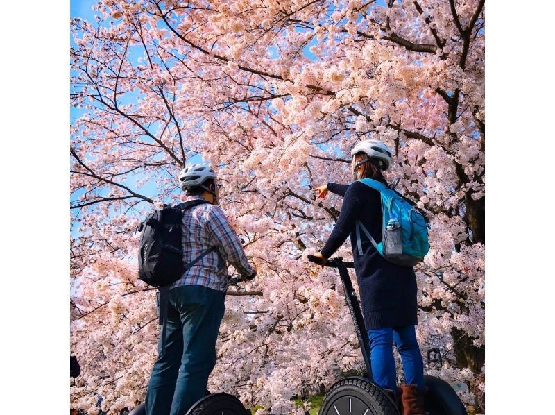 【東京・立川】自然やお花見を満喫！昭和記念公園でセグウェイ体験！未経験者も安心！広い園内をガイドがご案内します！の紹介画像