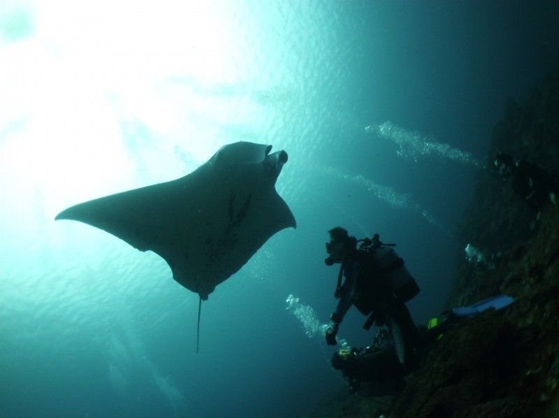 Okinawa / Kuroshima diving