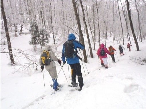 【京都・滋賀県境】6才からOK！　関西の秘境！初めてのスノーシュー雪山散策（ランチ付）の画像