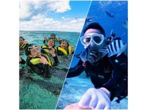 ☆An environmentally friendly diving shop certified by international standards☆ [Enjoy the sea of ​​Onna Village in half a day! ! ] Enjoy snorkeling and trial diving at the coral reefの画像