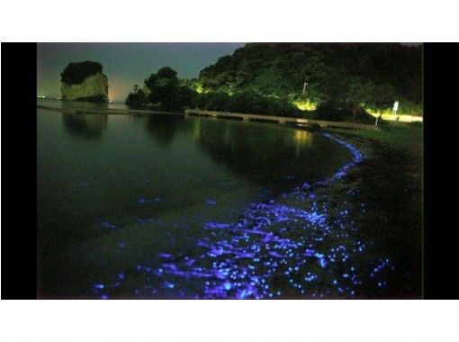 [Ishikawa/ Noto] Recommended for couples and free study! "Mystery of the Sea" Sea Firefly Appreciation Tourの画像