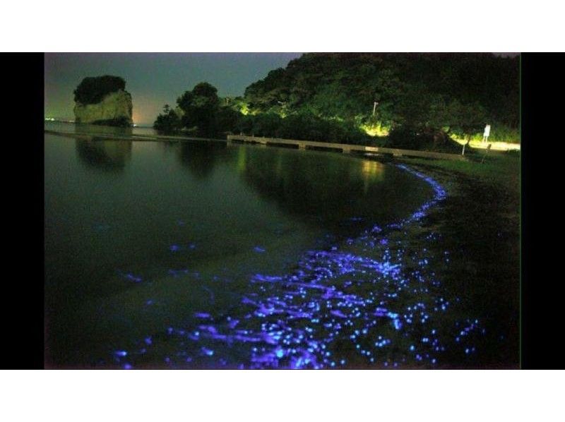 石川・能登】カップル、自由研究にもおすすめ！「海の神秘」海ほたる鑑賞ツアー | アクティビティジャパン