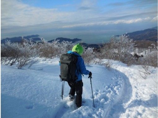 [Kyoto/Shiga border] Children and beginners are welcome! Unexplored region of Kansai! Snow hiking in the Ikusugi forest (warm stew lunch included!)の画像