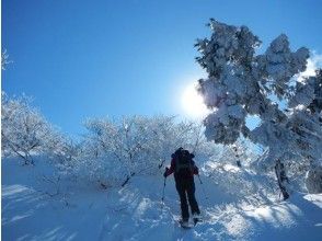 【京都・滋賀県境】雪山登頂初挑戦　関西の秘境！芦生・三国峠登頂スノーハイク（シチューランチ付！）