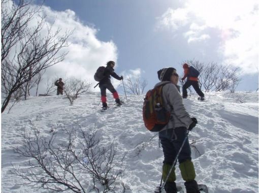 [Shiga Lake West] First attempt at climbing a snowy mountain Snowshoeing at Jayagatake (Hira Mountains) (warm stew lunch included!)の画像