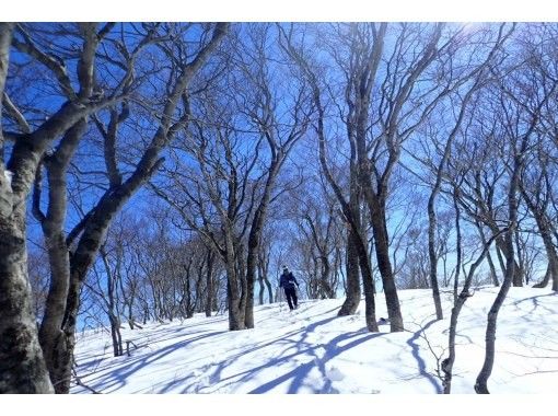 [Kyoto] Snowshoeing for experienced snowshoers on Mount Minako (Kyoto Kitayama), the highest peak in Kyoto Prefecture (with a warm stew lunch!)の画像