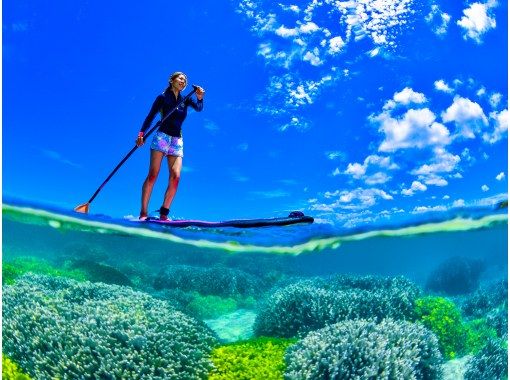 [Okinawa, Onna Village] SUP & Snorkeling "Adventure to a deserted island!" Beginners are safe (Over 1,500 people guided last year / Free photos and video data)の画像