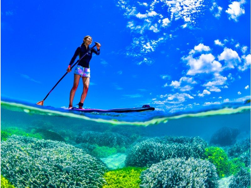 [Okinawa, Onna Village] SUP & Snorkeling "Adventure to a deserted island!" Beginners are safe (Over 1,500 people guided last year / Free photos and video data)の紹介画像