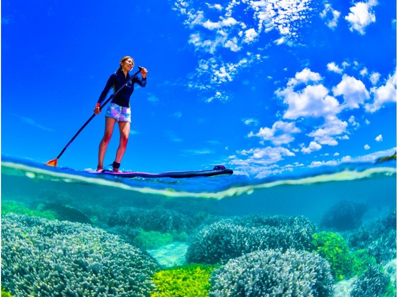 [Okinawa, Onna Village] SUP & Snorkeling "Adventure to a deserted island!" Beginners are safe (Over 1,500 people guided last year / Free photos and video data)の紹介画像