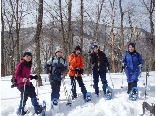 [滋贺-大津]天然雪松林雪上徒步徒步旅行（1天课程），午餐温馨！の画像