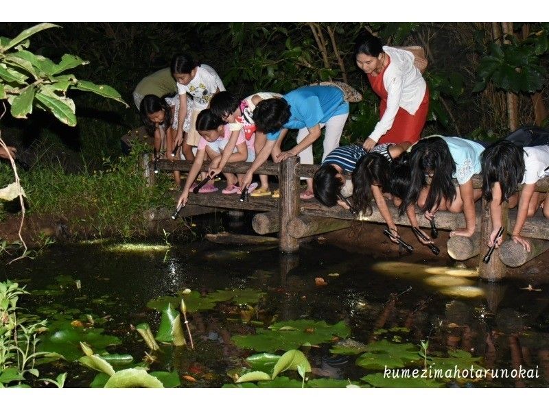 【沖縄・久米島】夜の森を探検!〔ミステリーナイトウォッチング〕