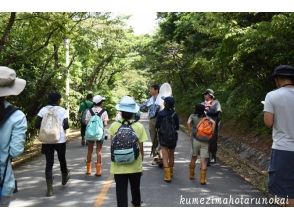 [冲绳/久米岛]漫步在人与自然相连的森林中！ “穿越拉姆萨尔森林”の画像