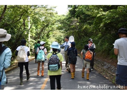 [Okinawa / Kumejima] Walk through the forest where people and nature are connected! "Walking in the Ramsar Forest"の画像