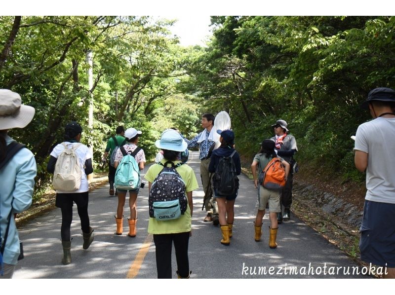 [Okinawa / Kumejima] Walk through the forest where people and nature are connected! "Walking in the Ramsar Forest"の紹介画像