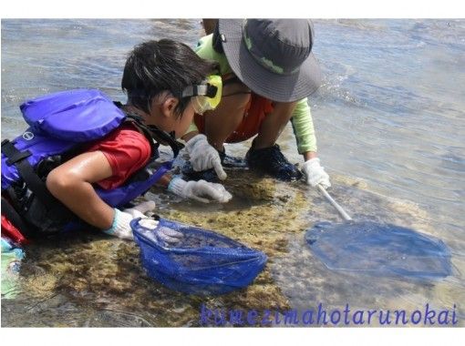 [沖縄/久米島]可以在海上遇見海洋生物的“步行和觀察海灘”，在參與環境學習以及保護和更新活動的專業指南的指導下！の画像