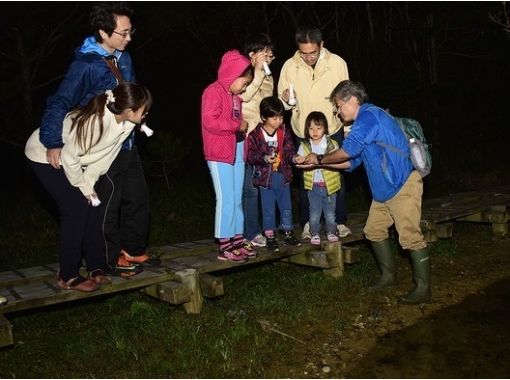 【沖縄・国頭村】夜の森を歩くドキドキ体験！「ナイトハイク」の画像